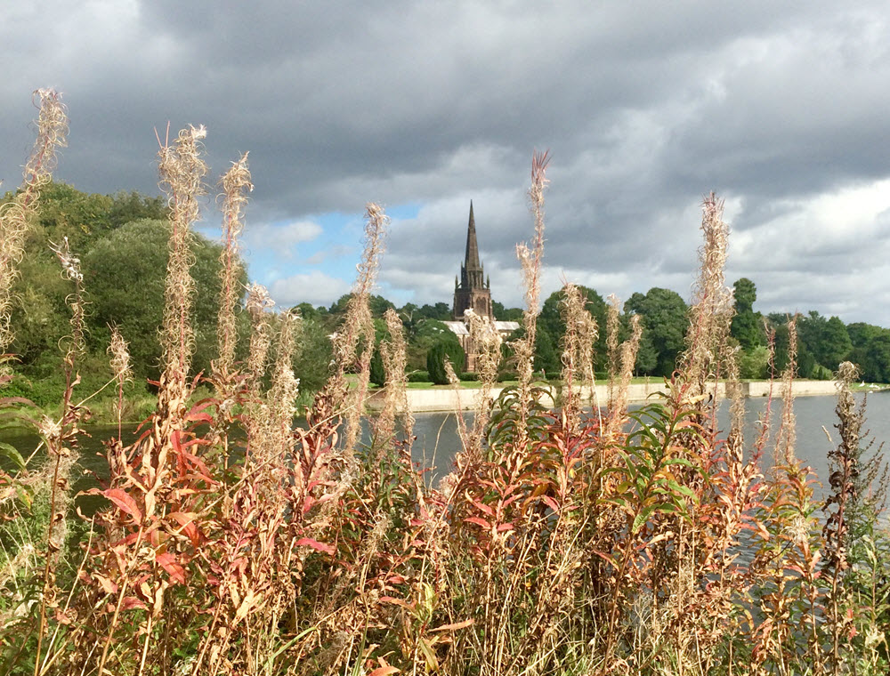 Nordic Walking clumber park north notts uncovered blog