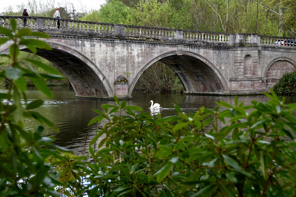 clumber bridge copyright di fisher photo den