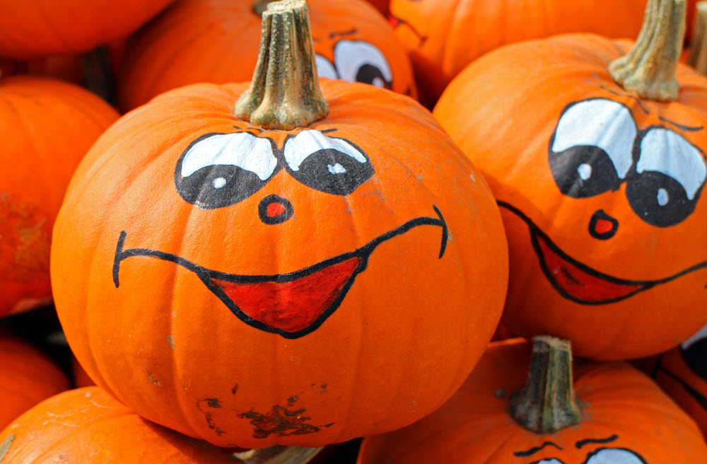 pumpkins in north notts